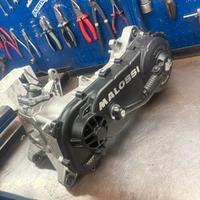 Carter malossi c one piaggio