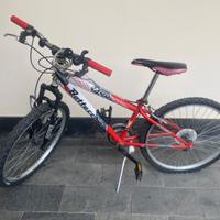 Bicicletta Bottecchia bambino 8-13