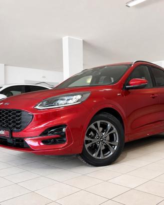 Ford Kuga 1.5 EcoBlue 120 CV aut. 2WD ST-Line X
