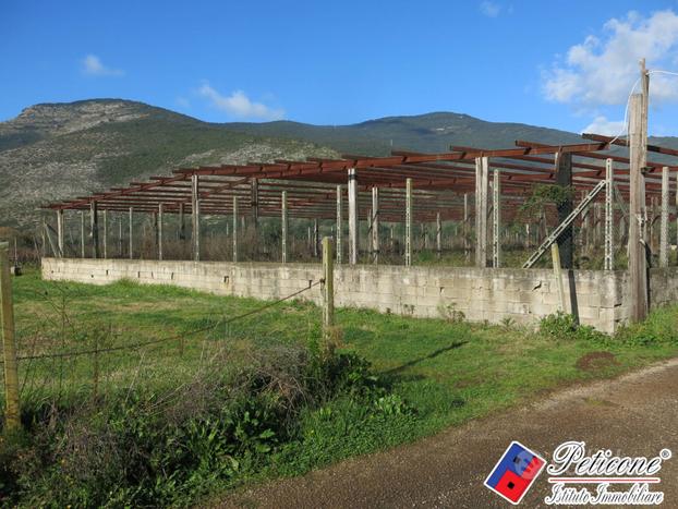 Terreno agricolo - Monte San Biagio