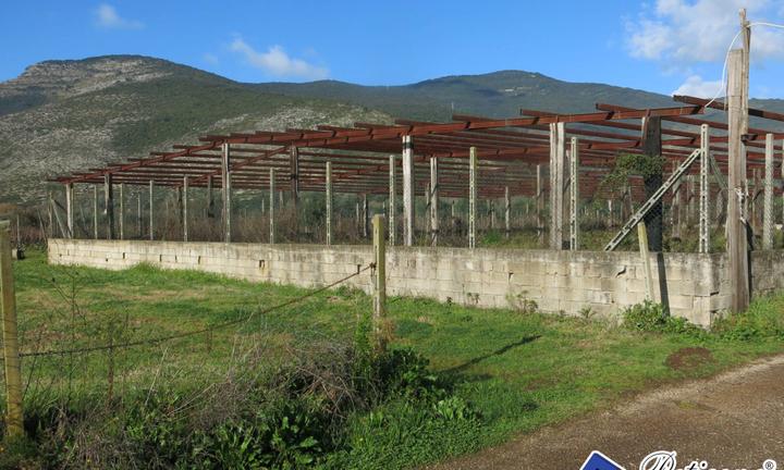 Terreno agricolo - Monte San Biagio