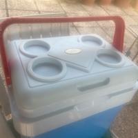 Mini frigorifero portatile evercool 12 volt