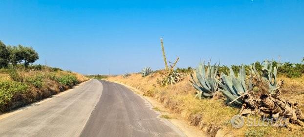 Azienda agricola con uliveto e vigneto di 10 etta