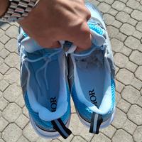 scarpe dior b22