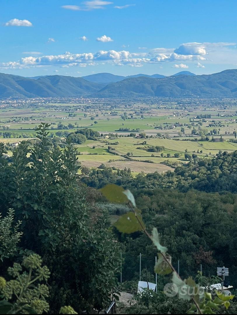 50% di terreno panoramico a Collatea - Vista 4