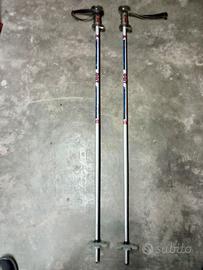 BASTONCINI SCI FISCHER - BERT - HEAD RADIAL 