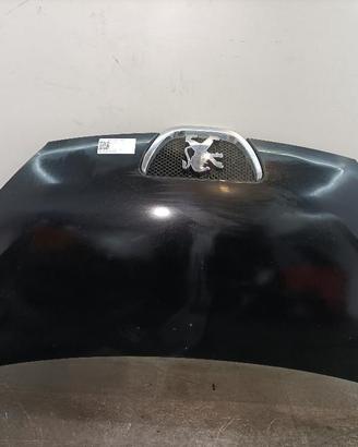 COFANO ANTERIORE PEUGEOT 107 1° Serie 1611149380