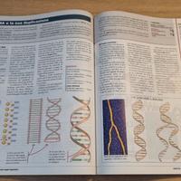 Libro Biologia Scienze integrate 9788808101716