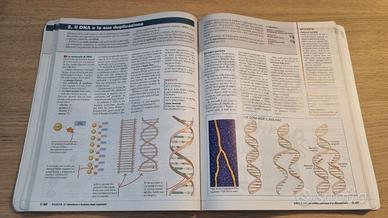 Libro Biologia Scienze integrate 9788808101716