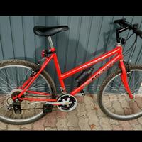 bici uomo ragazzo del 26