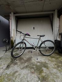 Bici uomo/donna adulti