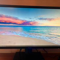 monitor 4K asus