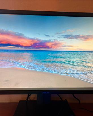 monitor 4K asus