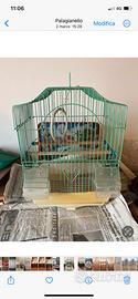 Gabbia per uccelli