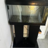 Acquario
