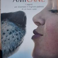 Libro Amicane - I segreti per diventare ...