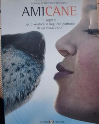 Libro Amicane - I segreti per diventare ...