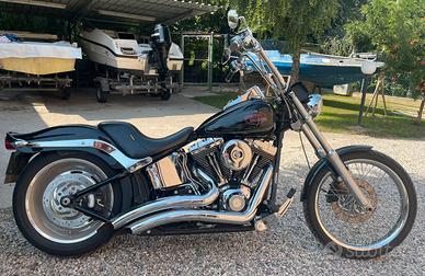 Harley- Davidson Softail Custom