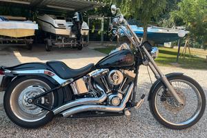 Harley- Davidson Softail Custom