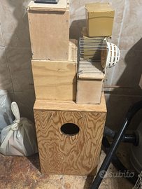 Nidi parrocchetti canarini inseparabili