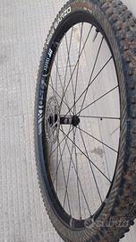 RUOTE MTB 29 DT SWISS XR 1501