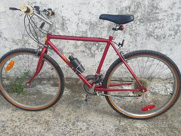Mountain bike misura 26