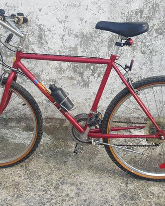 Mountain bike misura 26