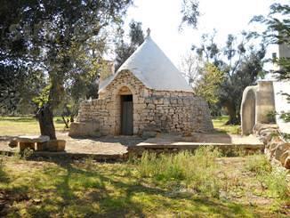 Trullo monocono in 86 are uliveto
