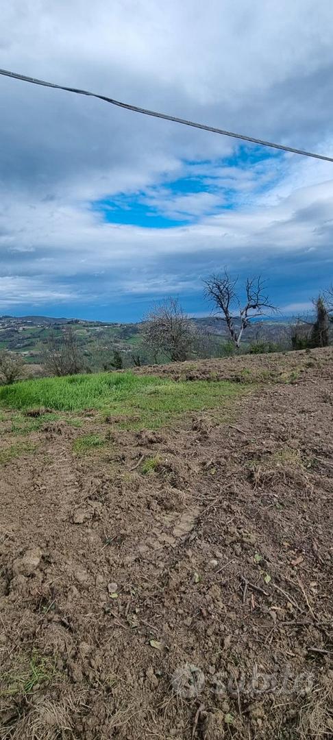 Terreno edificabile Levizzano di Baiso - Vista 4