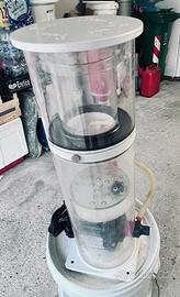 skimmer Royal exclusive