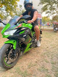 Kawasaki Ninja 650 KRT 2024  