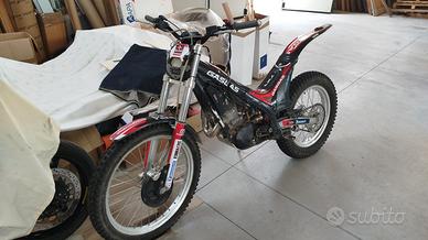 trial gas gas txt280 del 2008