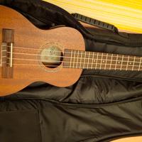 ukulele perfetto Lecho B band mai usato