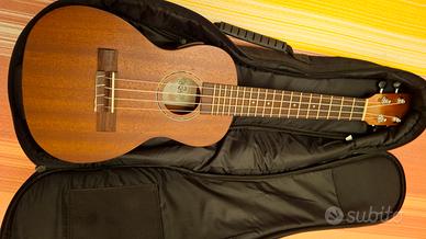 ukulele perfetto Lecho B band mai usato