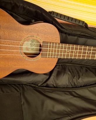 ukulele perfetto Lecho B band mai usato