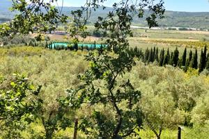 Terreno Agricolo di 3 Ettari