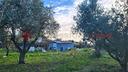 terreno-agricolo-cecina-t1-23vrg-