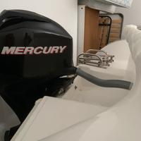 Mercury 40/60