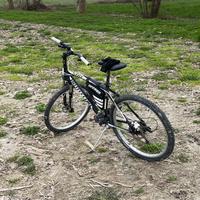 Bici bottecchia