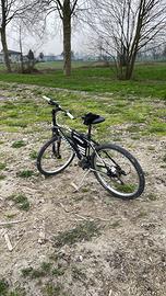 Bici bottecchia