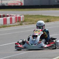 Kart Birel