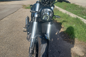 Benelli leoncino