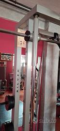 multipower  technogym   linea silver