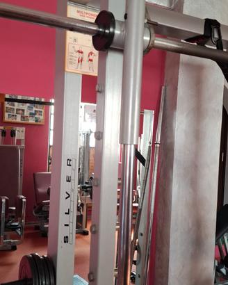 multipower  technogym   linea silver