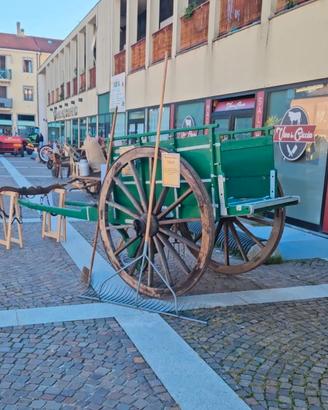 Carro agricolo ribaltina