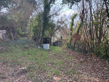 Terreno con annessi condonati e pozzo