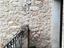 Immagine 17