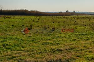 Pontecagnano Faiano- Terreno Agricolo