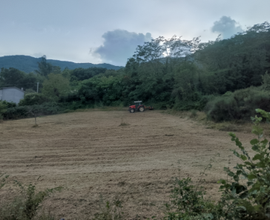 Terreno agricolo a GRECCIO