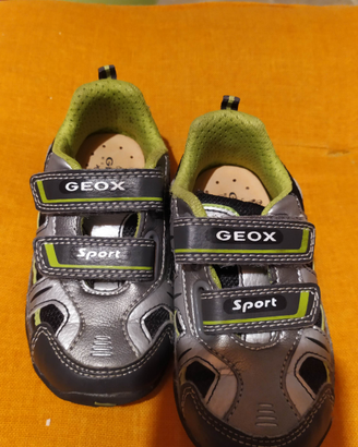 Scarpa GEOX